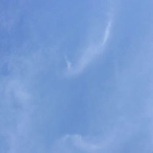 Meet your Posher, Cassie